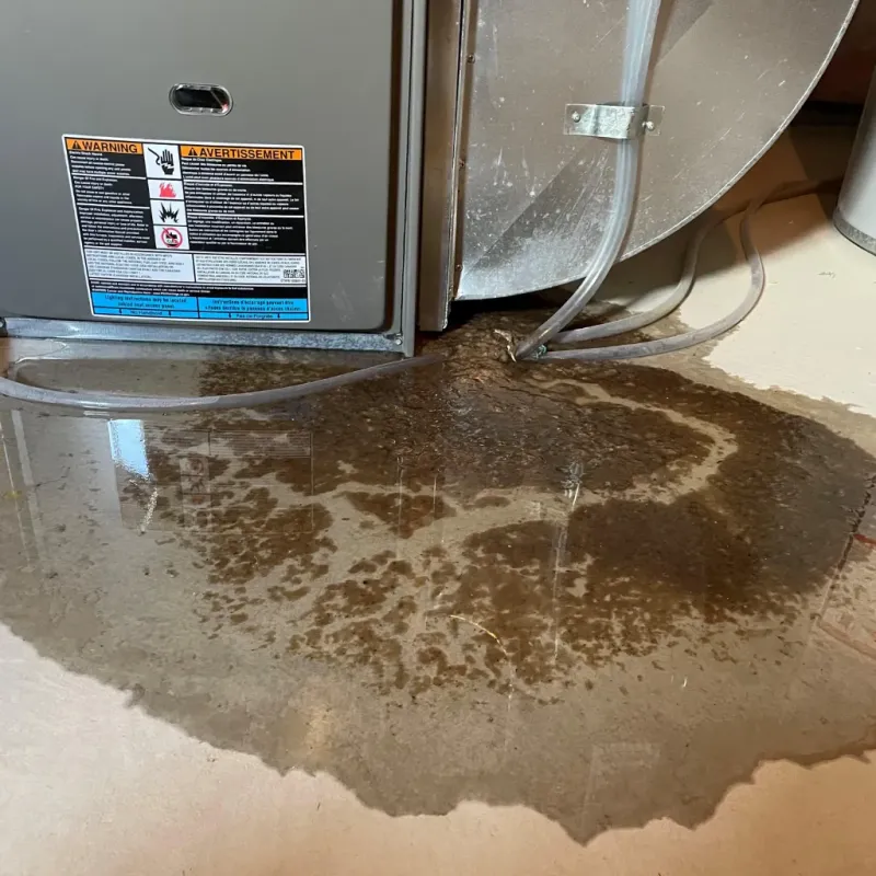 Appliance Leak Cleanup in Millers Creek, NC